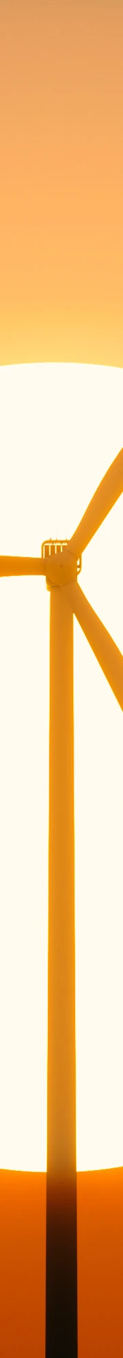 Shutterstock 1149456404
